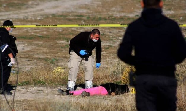 Violencia persistente contra mujeres en Ciudad Juárez: urgencia acción en el Día Internacional de la Mujer