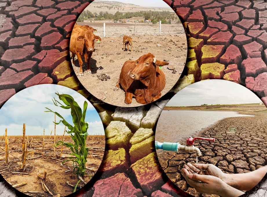 Sequía en México afecta territorio nacional