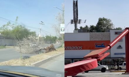 Torreón queda en estado de caos tras fuertes tolvaneras