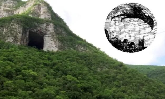 Avistamiento del misterioso «Hombre Pájaro» causa revuelo en Coahuila