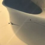 Rescatan a cuatro migrantes atrapados en tormenta de arena en Samalayuca, Chihuahua