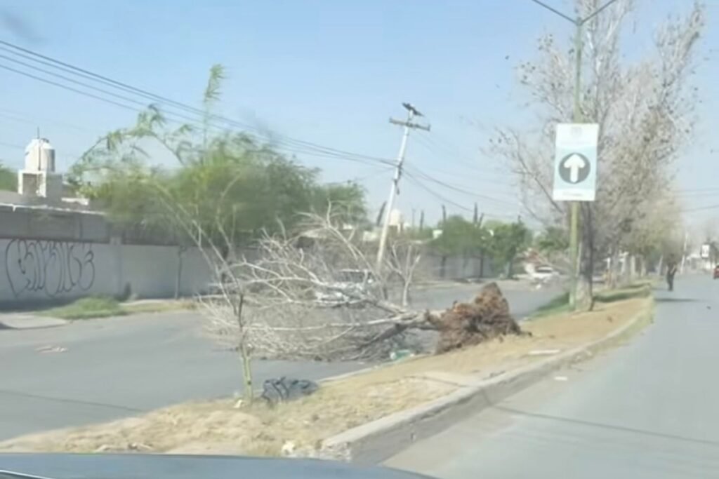 Alcalde, Román Cepeda, cableado subterráneo, Centro Histórico, Torreón, proyecto, colaboración, CFE