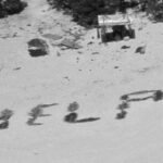 Mensaje de socorro en una playa desierta: el increíble rescate de tres marineros en el Pacífico