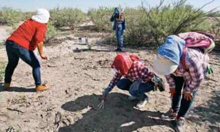 Continúa búsqueda en cementerio clandestino de Patrocinio, Coahuila: un largo camino hacia la justicia
