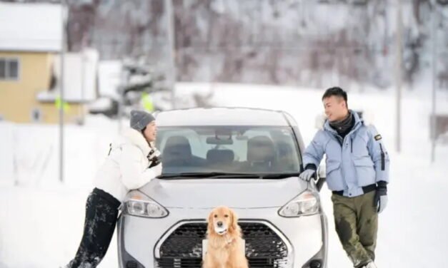 Pareja invierte medio millón de pesos en las vacaciones de su ‘lomito’ en Japón