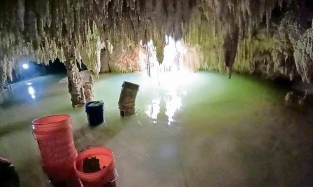 Profepa revela devastación ambiental en cavernas del Tren Maya