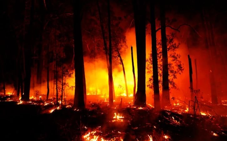 Contingencia ambiental en Guerrero: suspendidas las clases en Acapulco y Chilpancingo por incendios