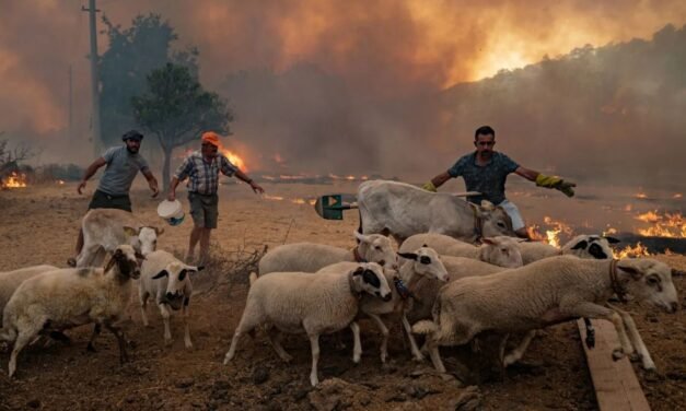 Crisis alimentaria en México: la sequía y el calor aumentan el riesgo de inflación