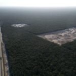 Tren Maya y los cenotes de Yucatán: un ecosistema en peligro