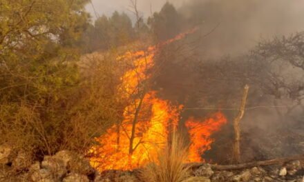Trazando llamas: Coahuila, entre las cenizas del descuido ambiental