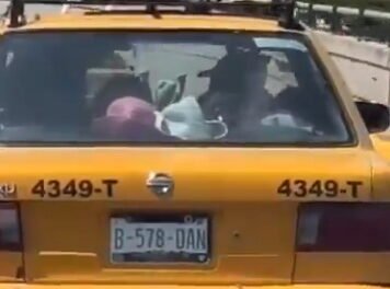 Perro amarrado al techo de un taxi genera indignación en Saltillo