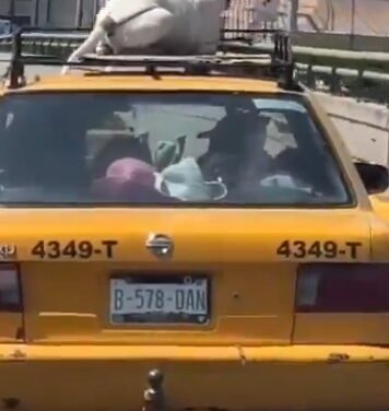 Perro amarrado al techo de un taxi genera indignación en Saltillo