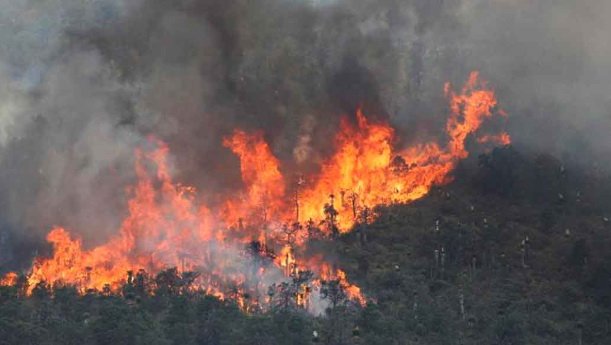 Más de 20 incendios forestales desafían las estrategias de prevención en Coahuila