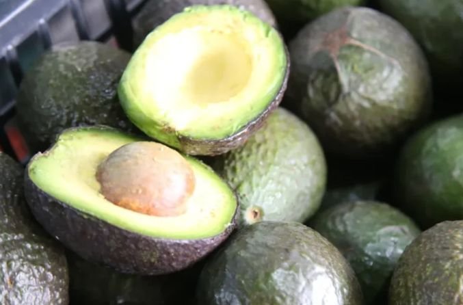 Bloqueo de aguacate mexicano: tensión y consecuencias en el mercado internacional