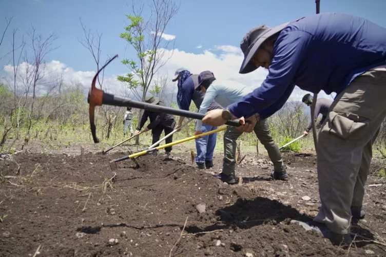 Operativo por Ayotzinapa: funcionario de la Segob revela imágenes de la búsqueda en terreno de los 43 estudiantes