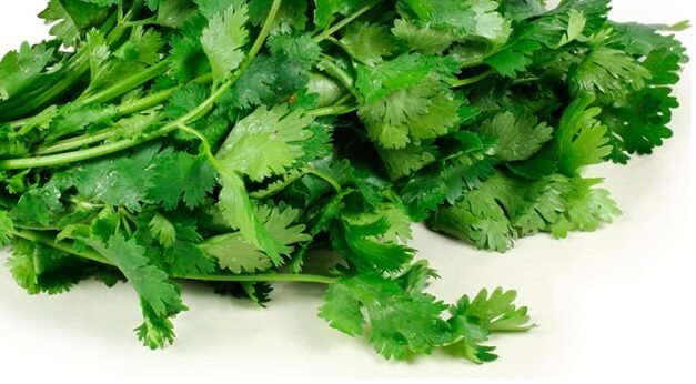 Sequía en Puebla dispara el precio del cilantro: manojo puede costar hasta 500 pesos