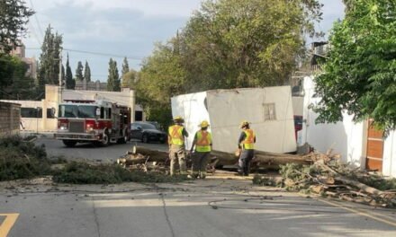 Ráfagas de viento dejan devastación y una muerte en Saltillo