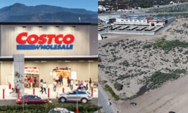 Proponen convertir estacionamiento de Costco en bosque, Torreón, Coahuila, 2024