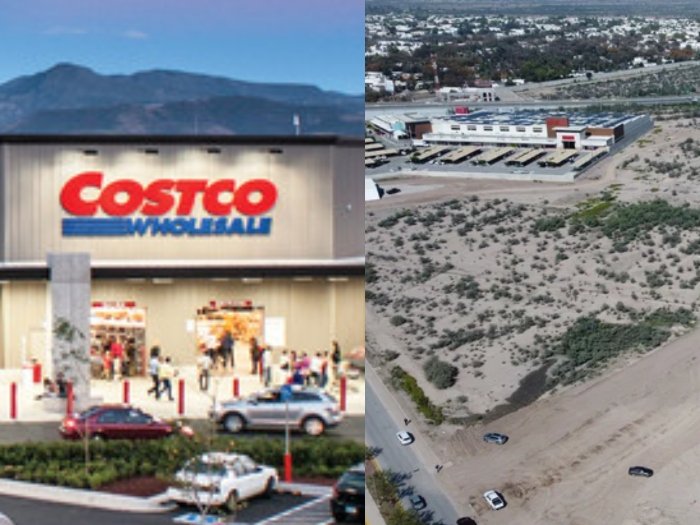 Proponen convertir estacionamiento de Costco en bosque, Torreón, Coahuila, 2024