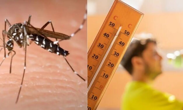 Incremento del 381% en casos de dengue en México: el impacto de las olas de calor y los criaderos de mosquitos