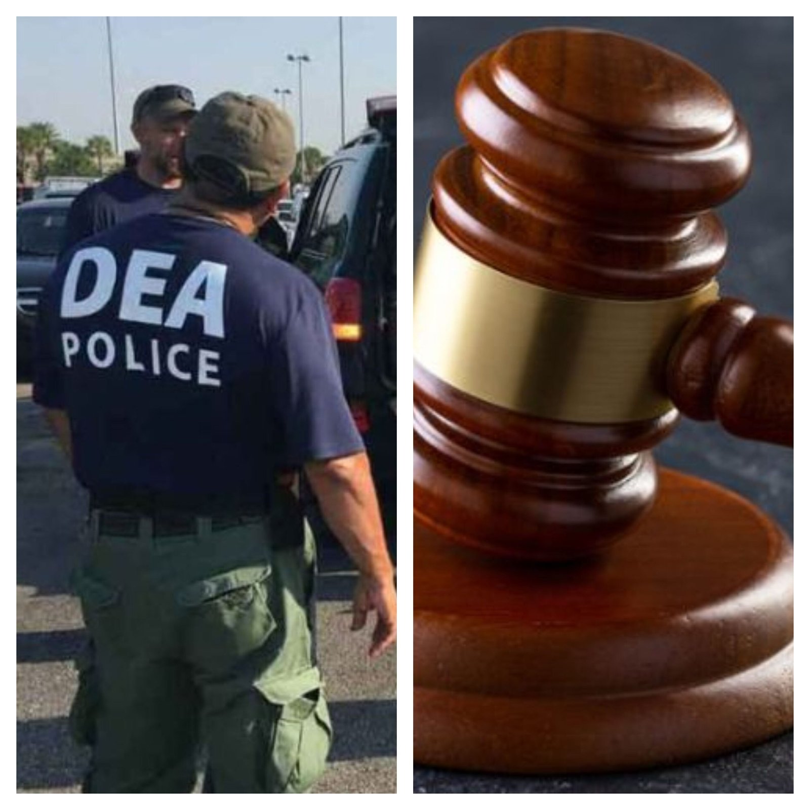 DEA alerta sobre Reforma Judicial en México: posibles influencias del narcotráfico