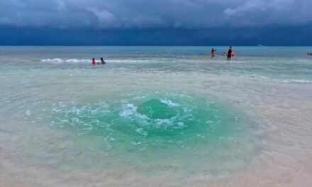 Fenómeno natural sorprende en Playa del Carmen: surgen 12 ojos de agua