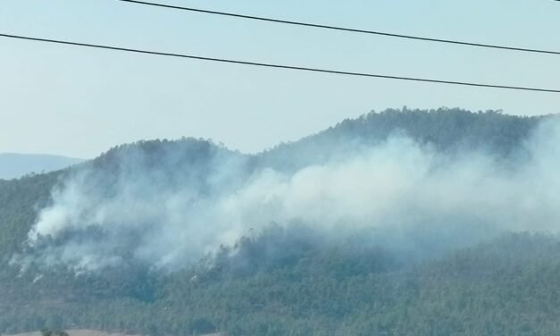 Alerta en Mexiquillo: incendios avivan preocupación en el corazón de la Sierra Madre Occidental