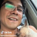 Joven rescata a ‘lomito’ y su reacción conmociona