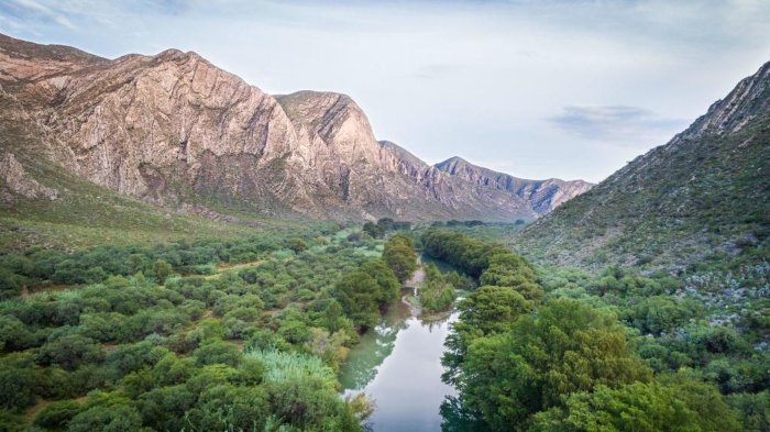 Se pierden especies endémicas en Cañón de Fernández, Durango, 2024