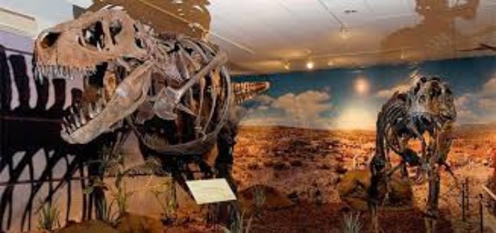 Persiste protesta de empleados en Museo Regional, Torreón, Coahuila