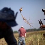 Cárteles mexicanos controlan el mercado de trabajadores migrantes en norteamérica