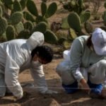 Antropología forense en la lucha contra la violencia: el trabajo del Dr. Erick Morgan Medina en Coahuila