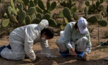 Antropología forense en la lucha contra la violencia: el trabajo del Dr. Erick Morgan Medina en Coahuila