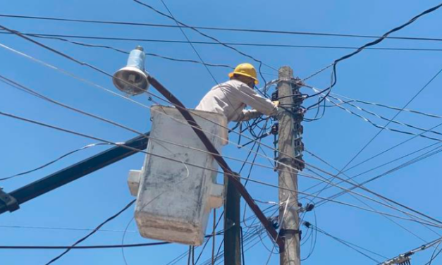 Sean pájaros o colgados, Canacintra apoya operativos de CFE contra conexiones ilegales en Torreón