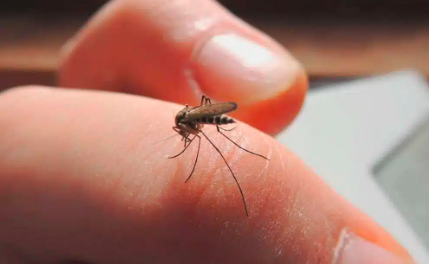 Zaragoza, Coahuila, supera los 100 casos de dengue