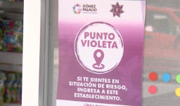 punto violeta punto violeta