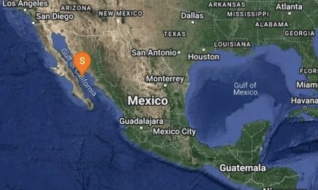 Temblor hoy: reportan un terremoto en Baja California Sur