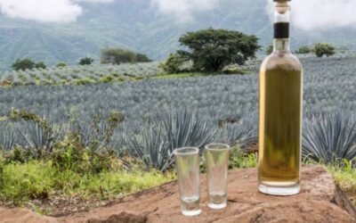 10 datos clave para celebrar el Día Internacional del Tequila