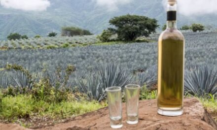 10 datos clave para celebrar el Día Internacional del Tequila