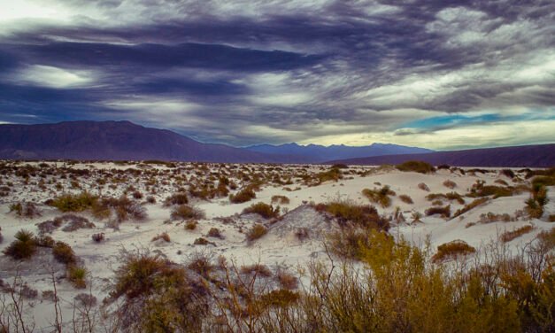 El peligroso desierto de Coahuila