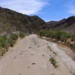 Fundación Jimulco atrae inversión de Coca Cola para la preservación de la reserva municipal