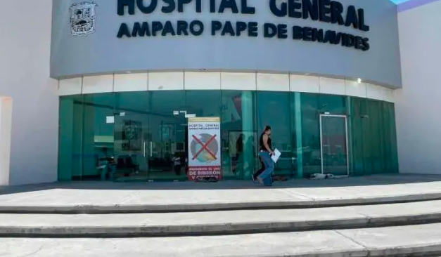 Fallece hombre de 63 años tras ataque de abejas en Frontera, Coahuila