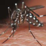 En el mismo día mueren dos por dengue en Gómez Palacio