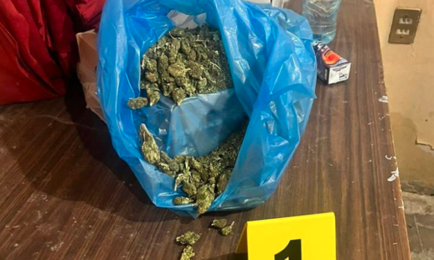 Aseguran ocho kilos de marihuana y cristal en San Pedro y Castaños, Coahuila
