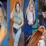 Lady Cucaracha: la mujer que intentó estafar a un restaurante en Guadalajara