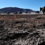 Disminuyen municipios afectados por sequía en Coahuila y Durango