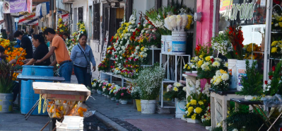 trabajo flores trabajo flores