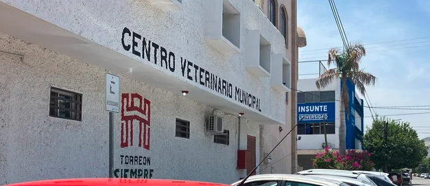 Impulsan iniciativa de multas contra el maltrato animal en Torreón