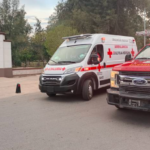 Lomito es asesinado por abejas en el Bosque Venustiano Carranza de Torreón