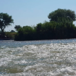 Encuentran ahogados a dos migrantes en el Río Bravo en Piedras Negras, Coahuila